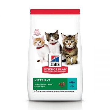 HILL'S Science Plan Kitten, Ton, hrană uscată pisici junior Hill's SP Feline Kitten Ton, 300 g
