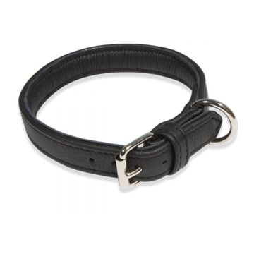 JULIUS-K9 ECO leather, zgardă ajustabilă câini, piele, negru JULIUS-K9 ECO leather, zgardă ajustabilă câini, piele, 25mm x 50cm, negru