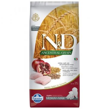 N&D Ancestral Grain Puppy Medium/Maxi, M-XL, Pui și Rodie, hrană uscată conținut redus cereale câini junior, 12kg