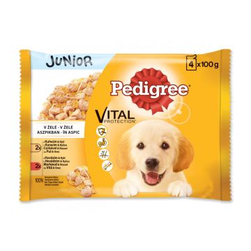 PEDIGREE Vital Protection Junior Multipack, 2 arome, pachet mixt, plic hrană umedă câini junior, (în aspic), 100g x 4