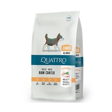 Quattro Premium Dog Junior All Breed cu Pui,7 kg