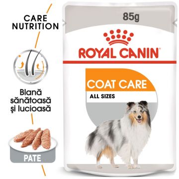 Royal Canin Coat Care Adult, hrană umedă câini, blană sănătoasă și lucioasă, (pate) Royal Canin Coat Care Adult, plic hrană umedă câini, blană sănătoasă și lucioasă, (pate), 85g
