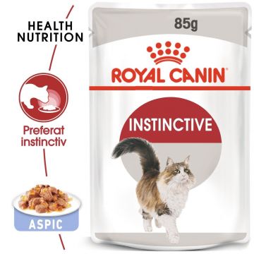 Royal Canin Instinctive Adult, hrană umedă pisici, (în aspic) Royal Canin Instinctive Adult, plic hrană umedă pisici, (în aspic), 85g