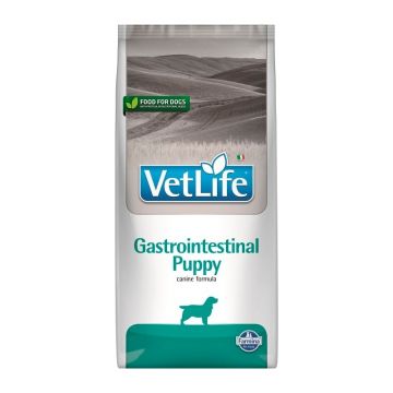 Vet Life Caine Junior Gastro-Intestinal, 2 kg