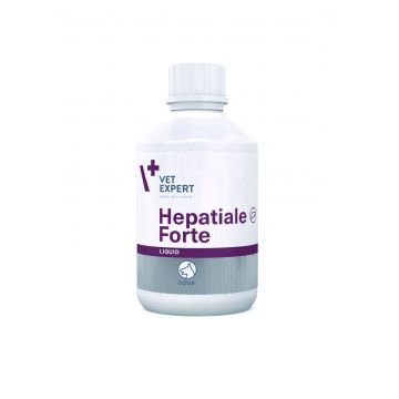 Hepatiale Liquid, Flacon 250 ml