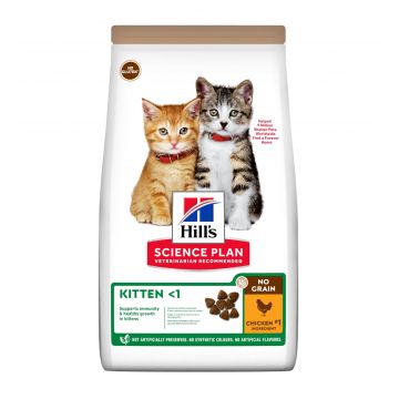 HILL'S SP No Grain, Kitten, Pui, hrană uscată fără cereale pisici junior, 1.5kg