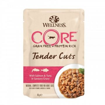 Hrana Umeda Wellness Core Cat Tender Cuts cu Somon si Ton, in Sos, 85 g