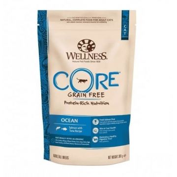 Hrana Uscata pentru Pisici, Wellness Core Dry cu Somon si Ton, 300 g