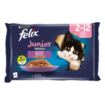 PURINA Felix Fantastic Junior, Pui, pachet mixt, plic hrană umedă pisici junior, (în aspic), 85g x 4