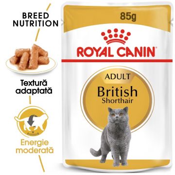 Royal Canin British Shorthair Adult, hrană umedă pisici, (în sos) Royal Canin British Shorthair Adult, plic hrană umedă pisici, (în sos), 85g