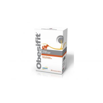 Supliment Nutritiv Obesifit DRN, 32 comprimate