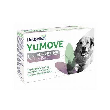 Lintbells Yumove Advance 360, 120 Tablete - Expira 31.01.2023 Supliment Nutritiv Pentru Caini Lintbells Yumove Advance 360, 120 Tablete