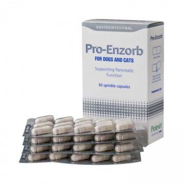 Supliment Nutritiv Pro-Enzorb, 60 capsule