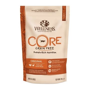 Wellness Core Dry cu Curcan si Pui, 300 g
