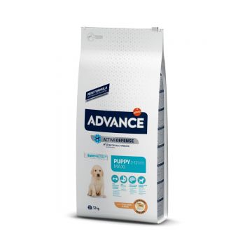 ADVANCE Dog Maxi Puppy Protect, L-XL, Pui, hrană uscată câini junior ADVANCE Maxi Puppy, L-XL, Pui, hrană uscată câini junior, 12kg