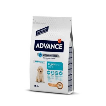 ADVANCE Dog Maxi Puppy Protect, L-XL, Pui, hrană uscată câini junior ADVANCE Maxi Puppy, L-XL, Pui, hrană uscată câini junior, 3kg