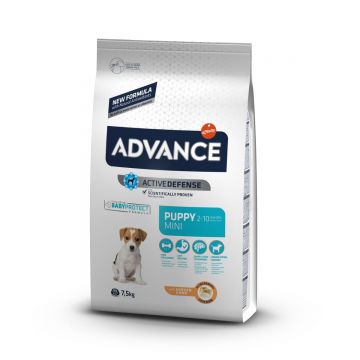 ADVANCE Dog Mini Puppy Protect, XS-S, Pui cu Orez, hrană uscată câini junior ADVANCE Mini Puppy, XS-S, Pui, hrană uscată câini junior, 7.5kg