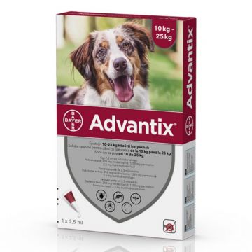 ADVANTIX, deparazitare externă câini, pipetă repelentă ADVANTIX 250, deparazitare externă câini, pipetă repelentă, M(10 - 25kg), 1buc de firma original