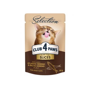 CLUB 4 PAWS Premium Plus Selection, Hering, plic hrană umedă pisici, (în aspic), 80g
