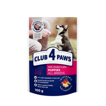 CLUB 4 PAWS Premium Puppy, Pui, hrană umedă câini junior, (în aspic) CLUB 4 PAWS Premium Junior, XS-XL, Pui, plic hrană umedă câini junior, (în aspic), 100g