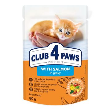CLUB 4 PAWS Premium , Somon, plic hrană umedă pisici junior, (în sos), 80g