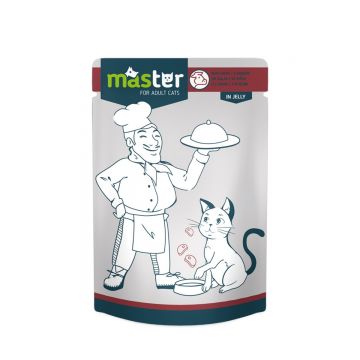 MASTER, Carne, plic hrană umedă pisici, (în aspic), 80g
