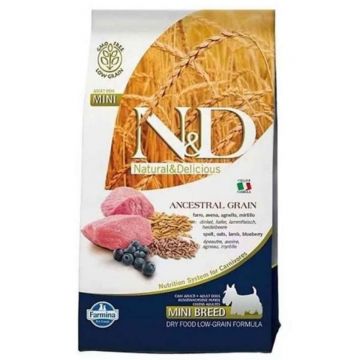 N&D Ancestral Grain Adult Mini, XS-S, Miel și afine, hrană uscată conținut redus cereale câini, 800g