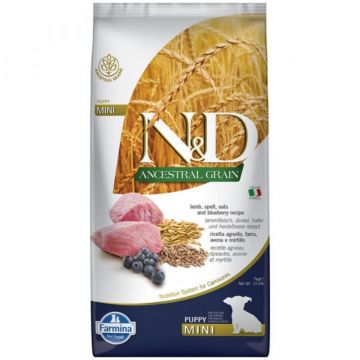 N&D Ancestral Grain Puppy Mini, XS-S, Miel și afine, hrană uscată conținut redus cereale câini junior, 7kg