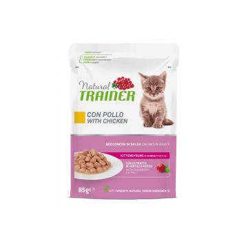 NATURAL TRAINER Kitten & Young, Pui, plic hrană umedă pisici junior, (în sos), 85g