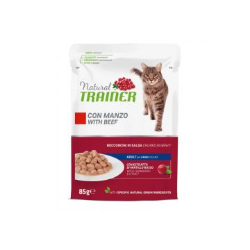 NATURAL TRAINER, Vită, plic hrană umedă pisici, (în sos), 85g