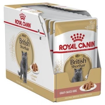Royal Canin British Shorthair Adult, hrană umedă pisici, (în sos) Royal Canin British Shorthair Adult, bax hrană umedă pisici, (în sos), 85g x 12