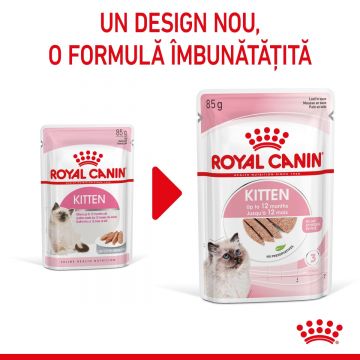 ROYAL CANIN Kitten, plic hrană umedă pisici, (pate) ROYAL CANIN Kitten, bax hrană umedă pisici, (pate), 85g x 12