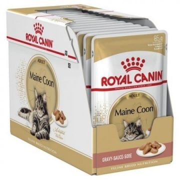 Royal Canin Maine Coon Adult, hrană umedă pisici, (în sos) Royal Canin Maine Coon Adult, bax hrană umedă pisici, (în sos), 85g x 12