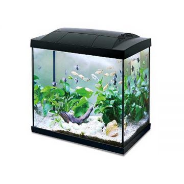 Acvariu Hailea K45 Black