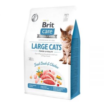 Brit Care Cat GF Large Cats Power and Vitality, 400 g ieftina