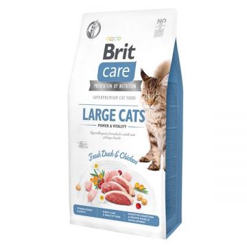 Brit Care Cat GF Large Cats Power and Vitality, 7 kg ieftina