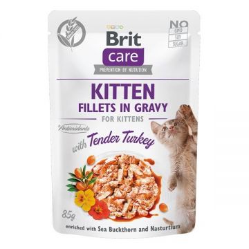 Brit Care Cat Kitten Fillets in Gravy With Tender Turkey, 85 g