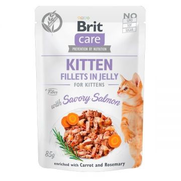 Brit Care Cat Kitten Fillets in Jelly with Savory Salmon, 85 g