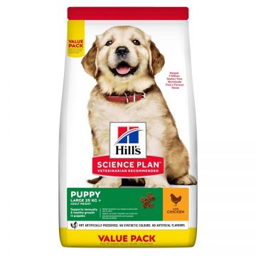 Hill's Science Plan Canine Puppy Large Breed Chicken Value Pack, 16 kg ieftina