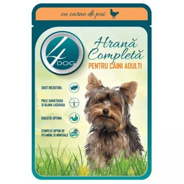 Hrana umeda caini, 4Dog Adult, Pui in Sos, 100 g