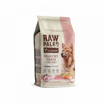 Hrana uscata pentru caini adulti, RAW PALEO HEALTHY GRAIN, somon, 10 kg la reducere