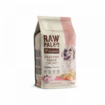 Hrana uscata pentru catei junior, RAW PALEO HEALTHY GRAIN, somon, 2kg la reducere