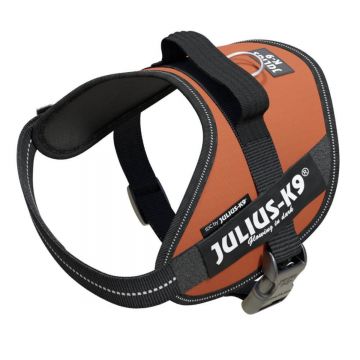 JULIUS-K9 IDC Power Single Colored, ham câini JULIUS-K9 IDC Power, ham câini, XS, 4-7kg, cărămiziu