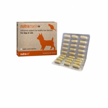 Nutravet NUTRAMARIN+ pentru caini si pisici, 30 tablete la reducere