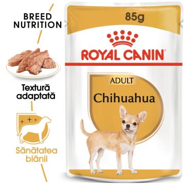 Royal Canin Chihuahua Adult, hrană umedă câini (pate) Royal Canin Chihuahua Adult, plic hrană umedă câini (pate), 85g