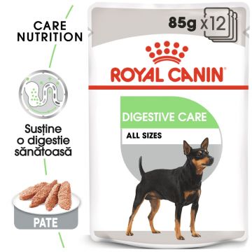 Royal Canin Digestive Care Adult, hrană umedă câini, confort digestiv, (pate) Royal Canin Digestive Care Adult, bax hrană umedă câini, confort digestiv, (pate), 85g x 12