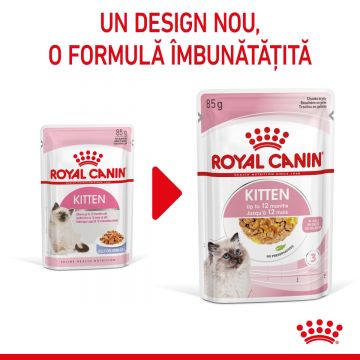 Royal Canin Kitten, hrană umedă pisici, (în aspic) ROYAL CANIN Kitten, bax hrană umedă pisici, (în aspic), 85g x 12