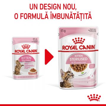 ROYAL CANIN Kitten Sterilised, plic hrană umedă pisici sterilizate junior, (în sos) ROYAL CANIN Kitten Sterilised, bax hrană umedă pisici sterilizate junior, (în sos), 85g x 12