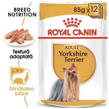 Royal Canin Yorkshire Terrier Adult, hrană umedă câini, (pate) Royal Canin Yorkshire Terrier Adult, bax hrană umedă câini (pate), 85g x 12
