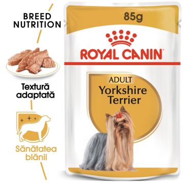 Royal Canin Yorkshire Terrier Adult, hrană umedă câini, (pate) Royal Canin Yorkshire Terrier Adult, plic hrană umedă câini, (pate), 85g